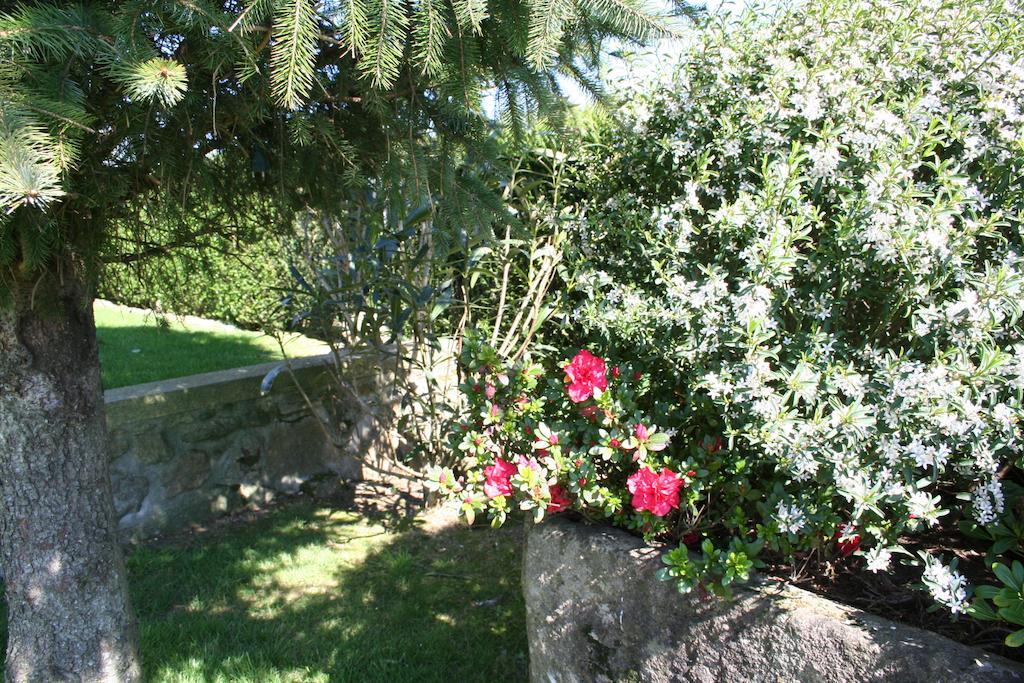 Casa Paz Do Outeiro Bed & Breakfast Paredes de Coura Eksteriør bilde